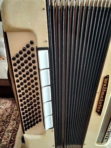 Музыкальные инструменты: Акустический Аккордеон — 5