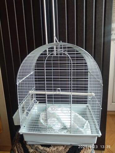 переноска для кошек баку: Quşlar üçün qəfəs — 3