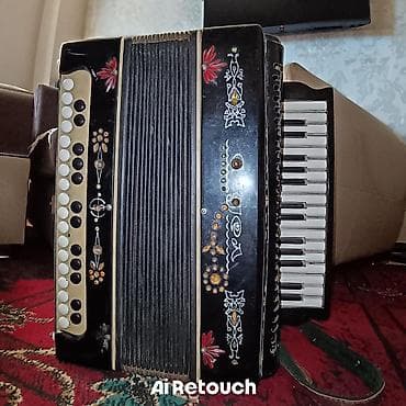ev turniki: Akustik Akkordeon — 1