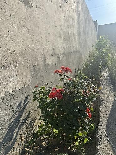 ev certyojları 2 mərtəbəli: 7 otaqlı, 185 kv. m — 6