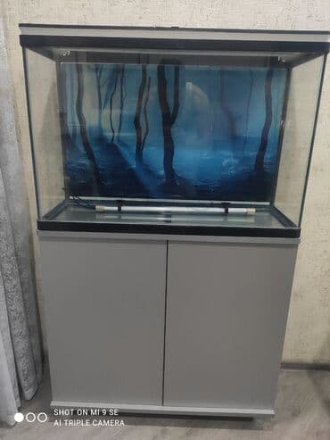 betta balıq: Akvaryum komplekti – şkaflı - Şüşə akvaryum, üst qapaqlı. Qapaq — 4