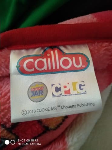 dash yunu qiymeti: Pled — 4