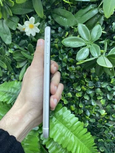 Apple iPhone: IPhone 11, 64 ГБ, Белый, Беспроводная зарядка — 2