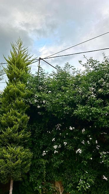 otag: 4 otaqlı, 100 kv. m, Orta təmir — 10