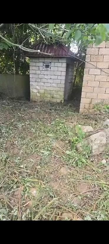 heyet evi masazir: 12 sot, Tikinti, Mülkiyyətçi, Kupça (Çıxarış) — 7