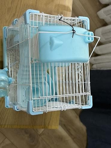 Heyvanlar üçün mallar: Hamster üçün iki mərtəbəli qəfəs – mavi/ağ Icinde bir eded hemster — 3