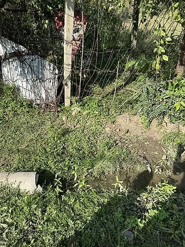 ev gence: 6 sot, Tikinti, Mülkiyyətçi, Kupça (Çıxarış) — 2