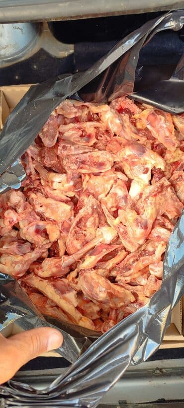 Şampunlar: It yemi. Toyuqun Qabirga ve Bud sumuyu, Toyuq farji. Toyuq qanad — 7