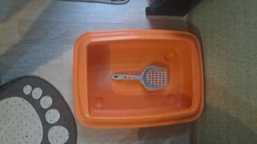 Heyvanucun qum qabı