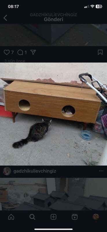 pişik yuva: Məhsul: Pişiklər üçün küçə/ həyət evi və yemləmə stansiyası Təsvir: - — 2