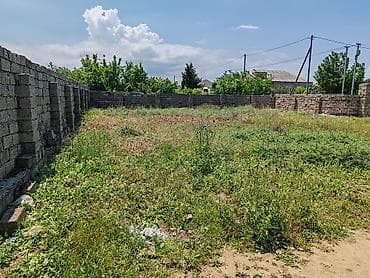 doner evi satilir: 7 sot, Kənd təsərrüfatı, Mülkiyyətçi, Kupça (Çıxarış) — 5