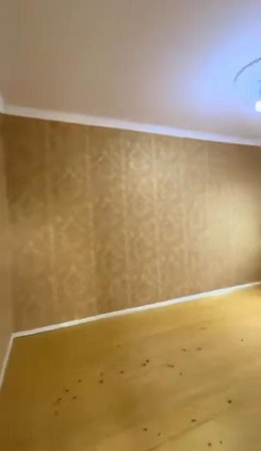 Bağ evləri: 3 otaqlı, 85 kv. m, Kredit yoxdur, Yeni təmirli — 3