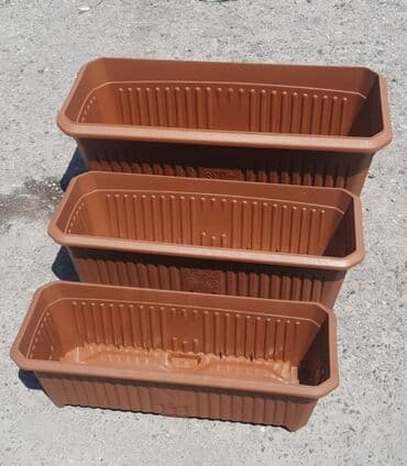 орхидея баку: Dibcek kvadrat duzbucaqli bitkilər üçün dibçəklər Dibcekler — 6