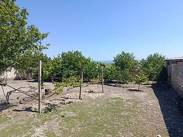 Siyəzən, 12000 kv. m, 3 otaqlı, Kanalizasiya, Qaz, Su lalafo.az -da Siyəzən, 12000 kv. m, 3 otaqlı, Kanalizasiya, Qaz, Su
