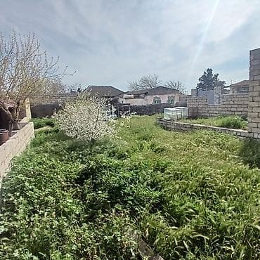 mehemmedide torpaq: Tikinti, Kupça (Çıxarış) — 1
