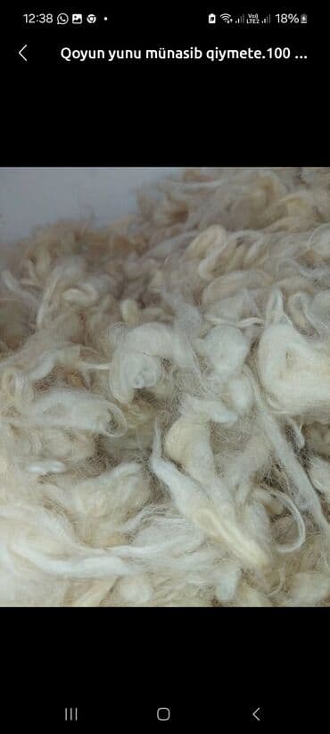 deve yunu yorgan: Məhsul: təbii yuyulmuş təmiz qoyun yunu — 1