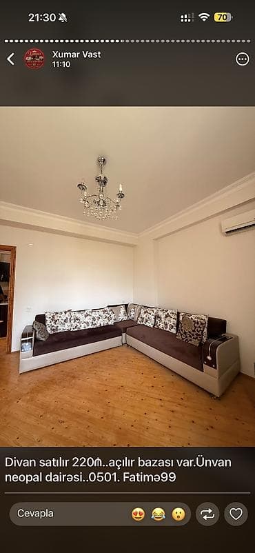 britanskiy kot: Künc divan, İşlənmiş — 1