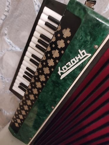 akardion: Akustik Akkordeon — 1