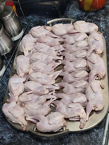 Turşular: Məhsul: Təmizlənmiş bıldırcın Təsvir: - Tam təmizlənmiş, içi — 4