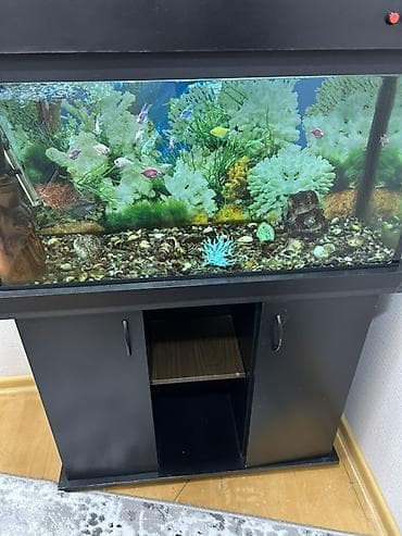 İtlər: Akvarium-şkaf, Balıqlarla birlikdə, 120 l, Ünvandan götürmə — 2