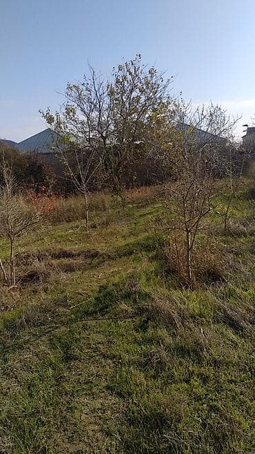 torpaq oğuz: Saray qəsəbəsi. Nazim marketə yaxın. 5.5 sot torpaq satılır — 2