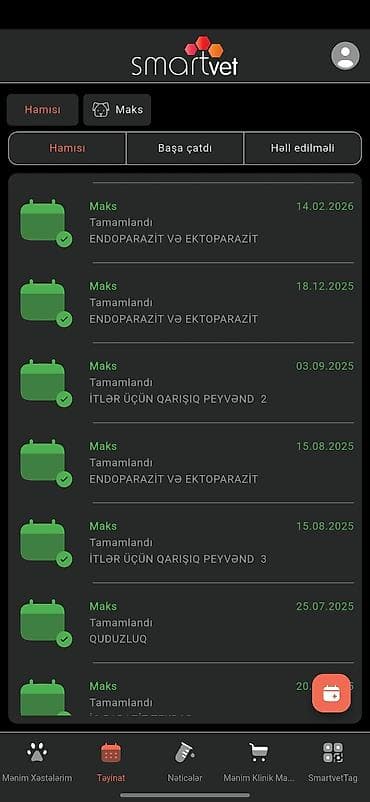 meydan itleri: Malta bolonka, 10 ay, Erkek, Cütləşmə üçün — 6