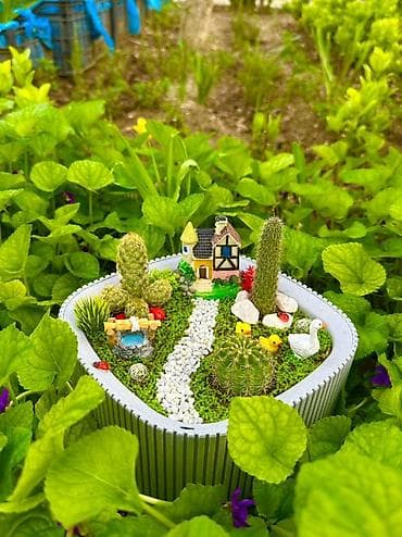 Mini bağ kompozisiyası – sukulent/kaktus terrariumu - Üçbucağa yaxın