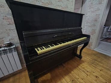 Velosiped aksesuarları: Piano, Akustik — 4