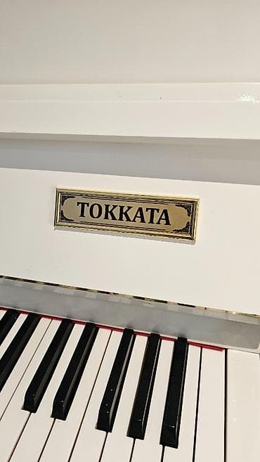 dynacord cms 1600: Piano tam bərpa olunub, ideal vəziyyətdədir. Tokkata modeldir. Alətin — 6