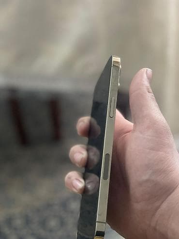 su qizdirici ariston: IPhone 12 Pro Max, 128 GB, Qızılı, Simsiz şarj — 4