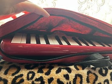 Velosipedlər: Akkordeon, Yeni, Ünvandan götürmə — 1