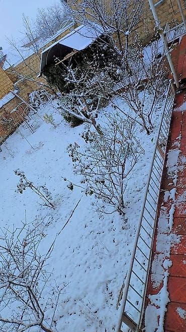 goranboyda kiraye evler: Telebeler(qizlar) üçün kiraye ev. 2ci korpusa sadece bir — 3