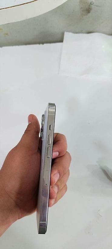 ipone sr: U.S. Polo Assn. brendli dəri görünümlü telefon qabı - Model: iPhone — 4