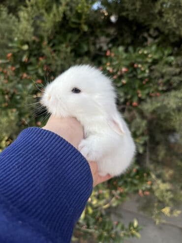 dovwan: Salam🖐🏻. 🎁 Ad günlerinde bayram ve xüsusi günlerde Hediyye seçiminde — 6