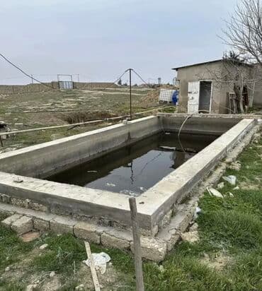 qaxda obyekt satilir: Tecili obyekt satilir!!! Zire Qesebesi, Qishlaqda 2 hektar 20 sot ve — 8