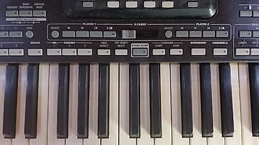 Sintezator, Korg — 10