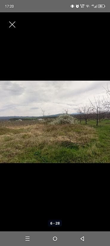 gence emlak satisi: Kənd təsərrüfatı — 5