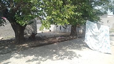 avto qaraj az: Mülkiyyətçi, Kupça (Çıxarış) — 3