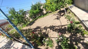 домики в набране: 7 otaqlı, 250 kv. m — 8