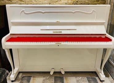 rösler piano: PIANO AKUSTIK. Əla vəziyyətdə Avropa istehsalı olan istifadə edilmiş — 1