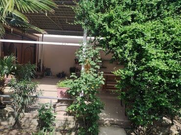 lacın ev: Bakı, Fatmayı, 196 kv. m, 4 otaqlı, Hovuzsuz, Kombi, Qaz, İşıq — 10