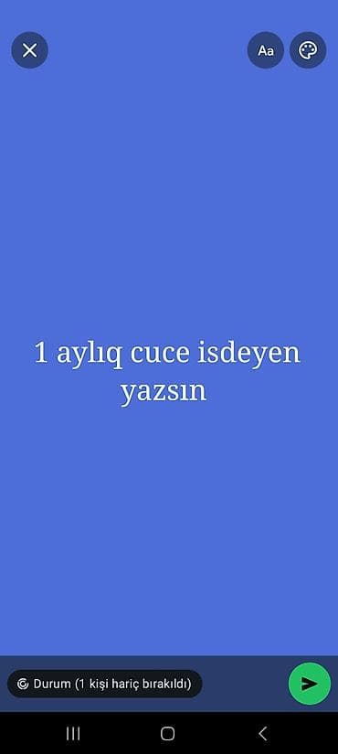 Mal-qara: Toyuq cücələri, Damazlıq — 1