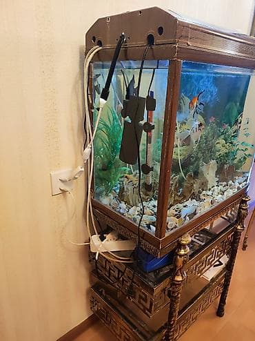 купить насос для воды: 100 I lik qalın aval akvarium satılır. İçində iki eded hava matoru — 3