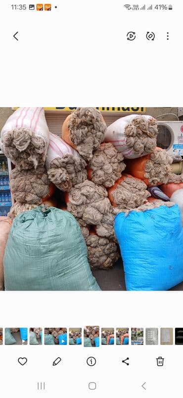 agdag astar qiymeti: QOYUN YUNU SATILIR Şamaxı yunu — 11