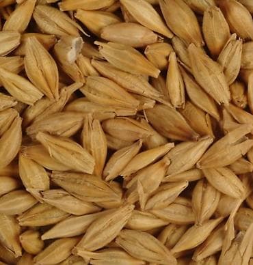 Məhsul: Arpa (dirməkli, yem və emal üçün uyğun) - Miqdarı: 1 ton -