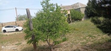 снять дачу в бузовнах: Bakı, Buzovna, 200 kv. m, 3 otaqlı, Hovuzsuz, Su, Telefon, İşıq — 7