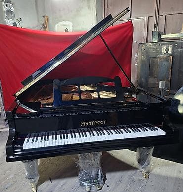 Пианино: Рояль, Акустический — 3