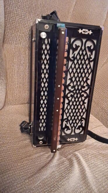 Digər musiqi alətləri: Akustik Akkordeon — 5