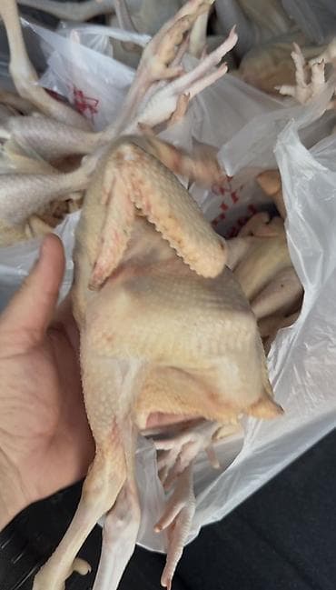 bal arısı satışı: Məhsul: Təmizlənmiş bıldırcın/quzu boyda xırda toyuq karkasları — 2