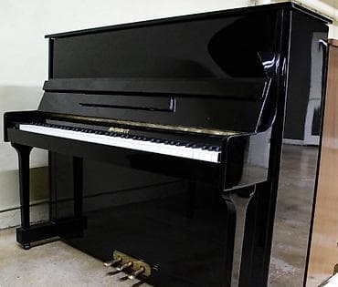 Qedmi Belarus piano. 

Demek olarki istifade olunmayıb